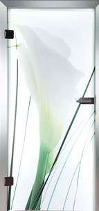 Farbdrucktüren Loft Glastüren Modell 9028 Flora