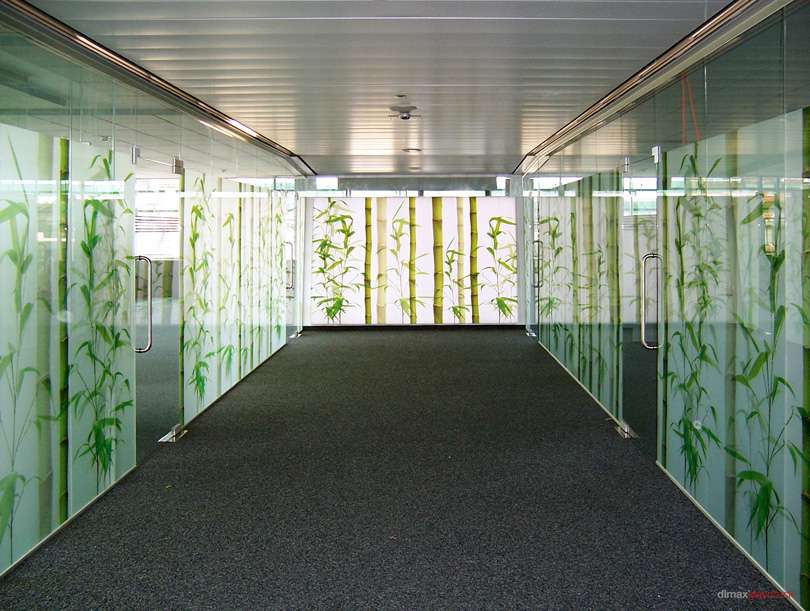 ganzglastuere_de_digitaler_glasdruck_dimax_4