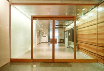 glas_brandschutztueren_glas_feuerschutztuer_motiv_350