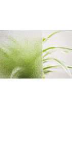 glastuer_listral_loft_ornamenttueren