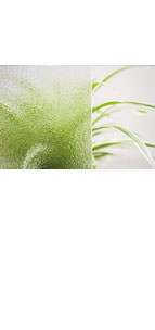 glastuer_listral_loft_ornamenttueren