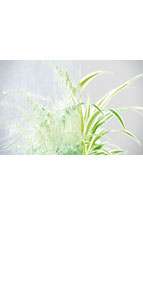 glastuer_loft_barock_weiss_ornamenttueren