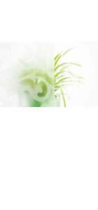 glastuer_loft_madras_fiandra_ornamenttueren