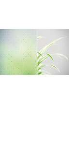 glastuer_loft_madras_pave_weiss_ornamenttueren