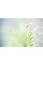 glastuer_loft_madras_uadi_weiss_ornamenttueren