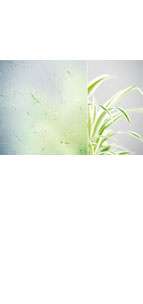 glastuer_loft_madras_uadi_weiss_ornamenttueren