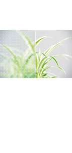 glastuer_loft_mastercarre_weiss_ornamenttueren