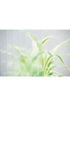 glastuer_loft_masterligne_ornamenttueren