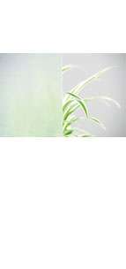 glastuer_loft_masterpoint_ornamenttueren