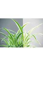 glastuer_loft_parsol_grau_ornamenttueren