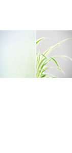 glastuer_loft_satinato_weiss_ornamenttueren