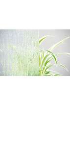 glastuer_loft_silvit_weiss_ornamenttueren